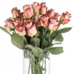 Buque de rosa terracota com 20 hastes de 60cm - leonidas