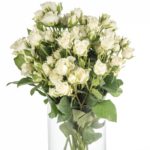 Buque de mini rosa spray branca  com 10 hastes - snowflake