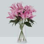 Buque de lirio pink com perfume 5 hastes 60cm Tabledance