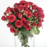 Buque de mini rosa spray vermelha com 10 hastes - vermelha