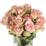 Buque de rosa cor de rosa envelhecido com 20 hastes de 60 cm - variance