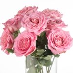 Buque de rosa garden rose rosa com 8 hastes - Real Ashley