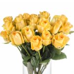 Buque de rosa amarela com 20 hastes de 60 cm - Momentum