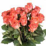 Buque de rosa laranja coral com 20 hastes de 60 cm - wow