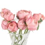 Buque de rosa garden rose rosa com 8 hastes - real romantic