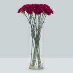 Buque cravo bicolor com 12 hastes de 70cm - Nobbio Party
