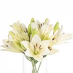 Buque de lirio branco com 5 hastes de 60 cm - litouwen