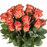 Buque de rosa laranja com 20 hastes de 60 cm - contrast