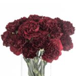 Buque cravo vinho com 12 hastes de 70cm - caronte