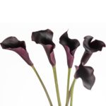 Buque callas negra com 5 hastes de 60cm - blackberry