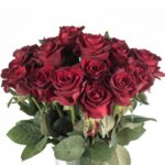 Buque de rosa vermelha com 20 hastes de 60 cm - ever red