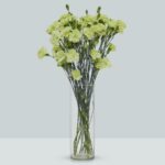 Buque cravina verde com 12 hastes de 60cm - skady