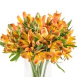 Buque alstromeria laranja com 10 hastes de 70cm - flame