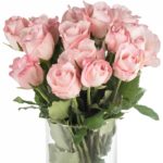 Buque de rosa cor de rosa com 20 hastes de 60 cm - vania