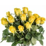 Buque de rosa amarela com 20 hastes de 60 cm - high exotic