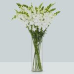 Buque boca de leão branca com 10 hastes de 60cm