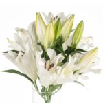 Buque de lirio branco com perfume 5 hastes 60cm - zambesi