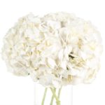 Buque de hortensia branca com 3 hastes de 50 cm