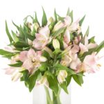 Buque alstromeria rosa com 10 hastes de 70cm - dubai