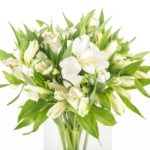 Buque alstromeria branca com 10 hastes de 70cm - avalange